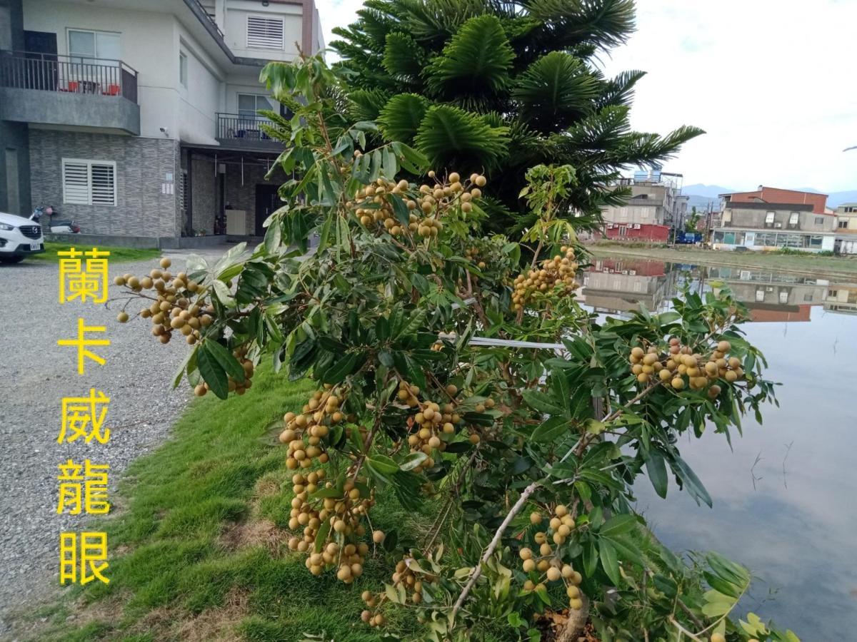 Langkawi B&B Luodong Buitenkant foto